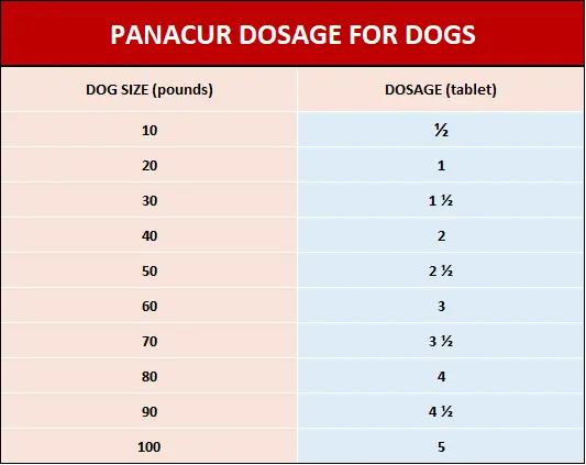Panacur for dogs - dosage