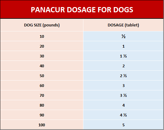 Panacur for dogs - dosage