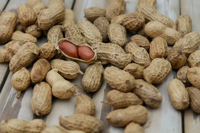 peanuts on table