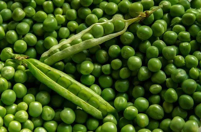 peas on a pile