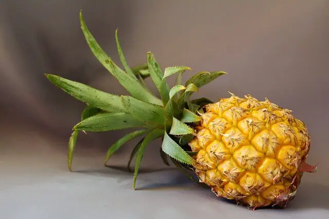 pineapple on the side