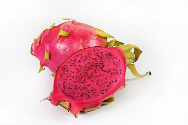 pink dragon fruit