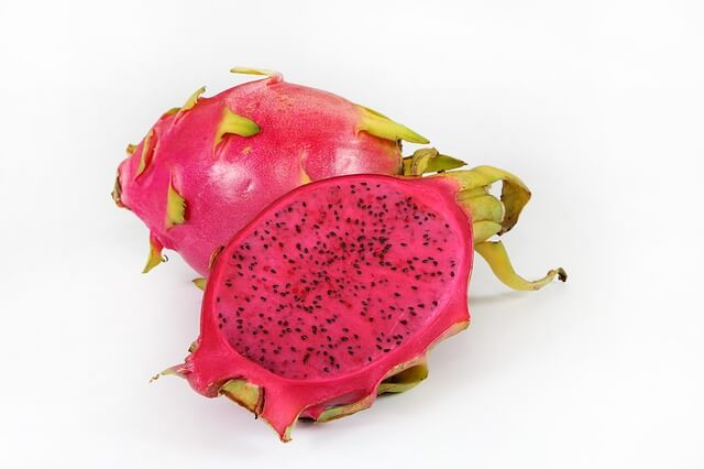 are dogs allowed dragon fruit