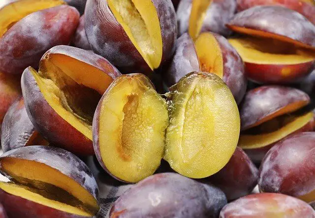 plums cut in half