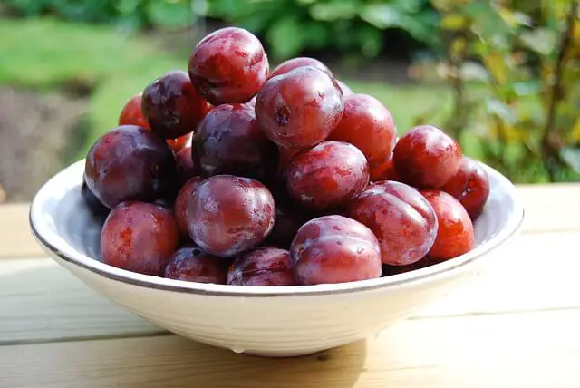plums on plate