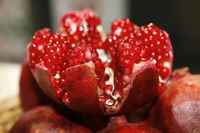 pomegranate opened
