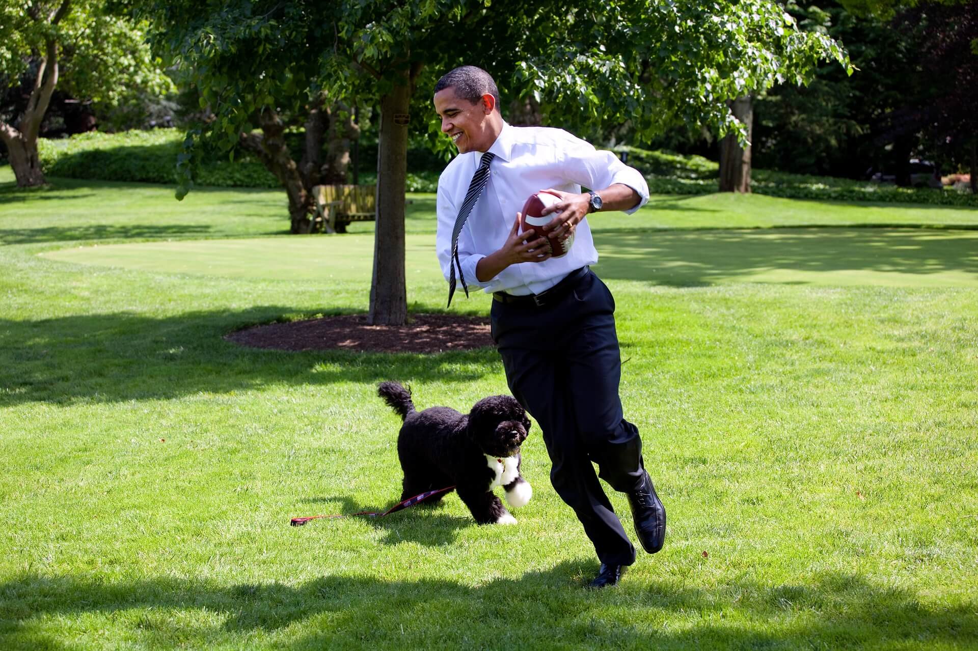 Portugalski vodeni pas i obama