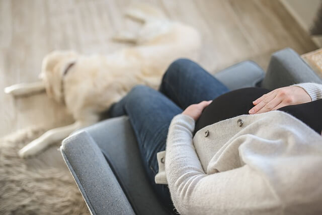 pregnant woman and dog