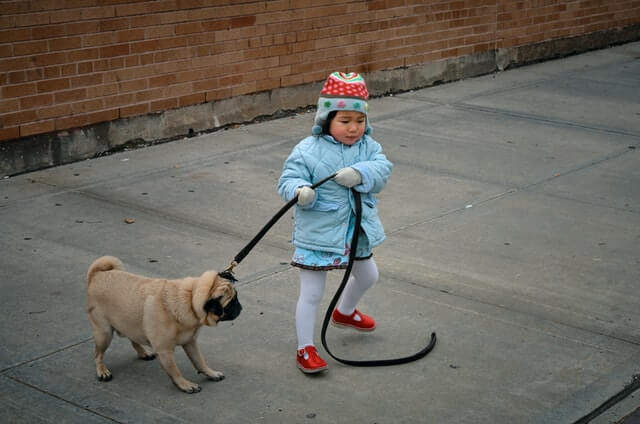 carlino y niño