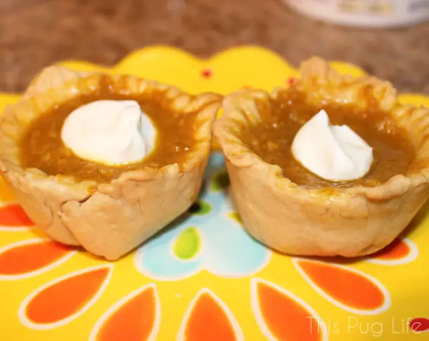 pumpkin pies for dogs