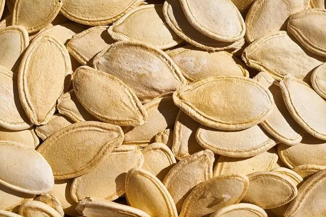 pumpkin seeds