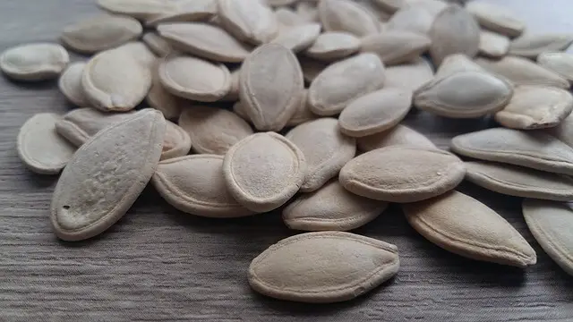 pumpkin seeds on table