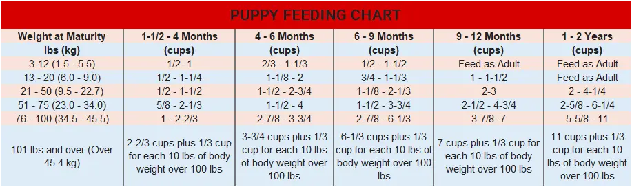 puppy feeding chart