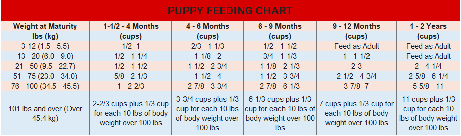 puppy feeding chart