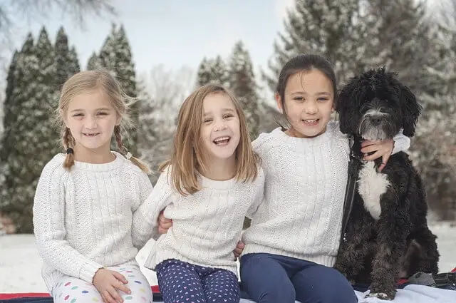 cachorro en nueva familia