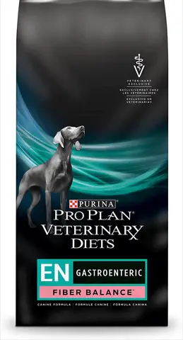 Dog Diarrhea: What You Need To Know About This Messy Problem