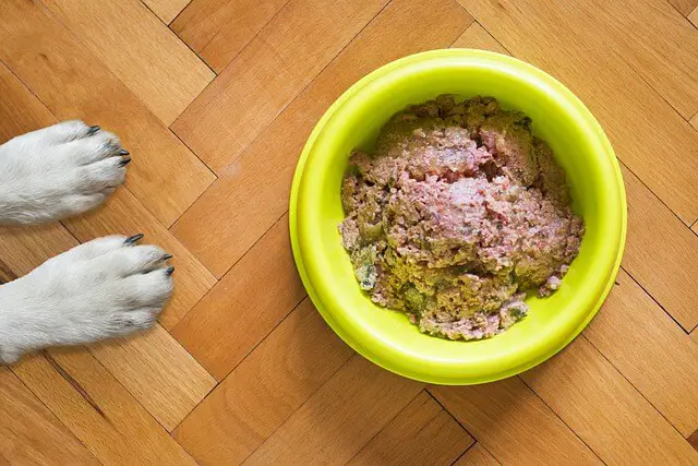 raw dog food in bowl