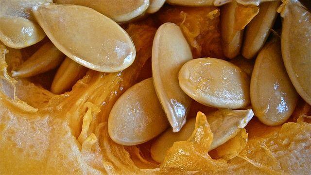 raw pumpkin seeds