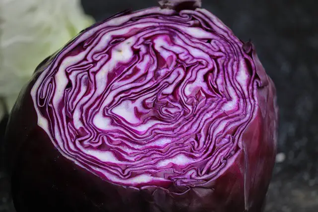 red cabbage