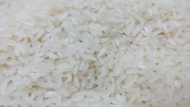 rice closeup