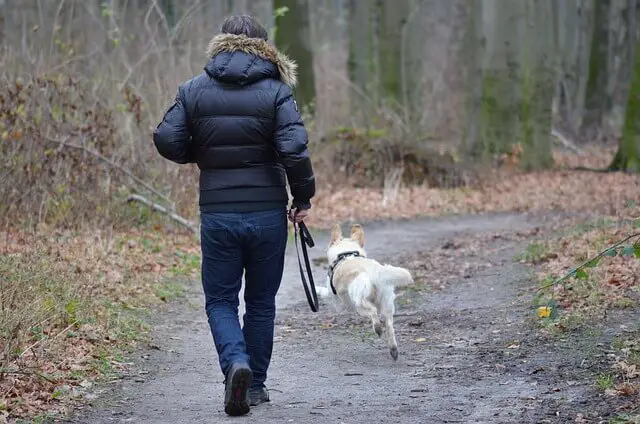 running with dog