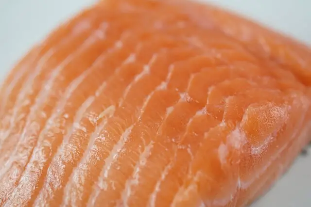 salmon fillet