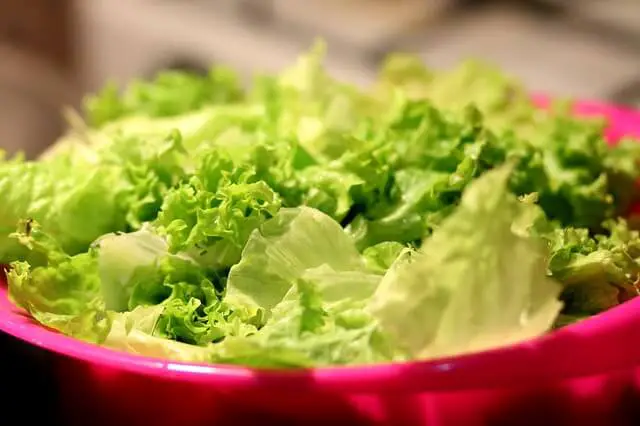 sliced lettuce