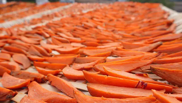 sliced sweet potato