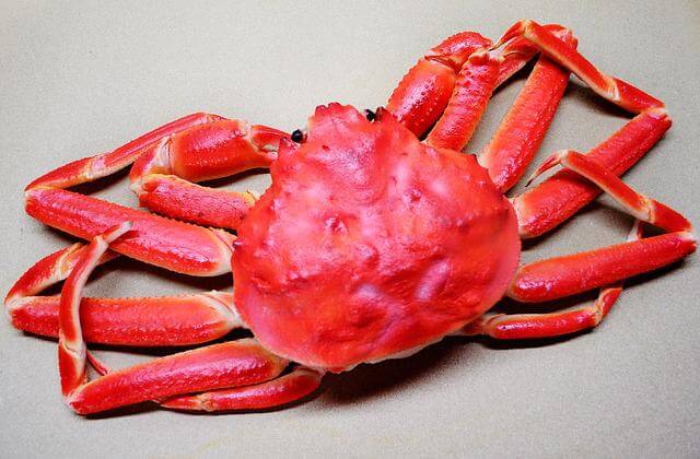 snow crab