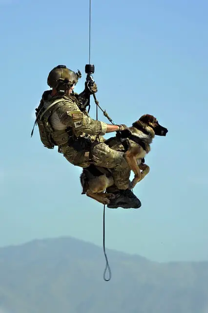 soldier with a dog