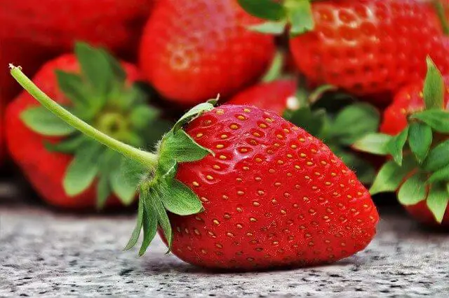 Fresas