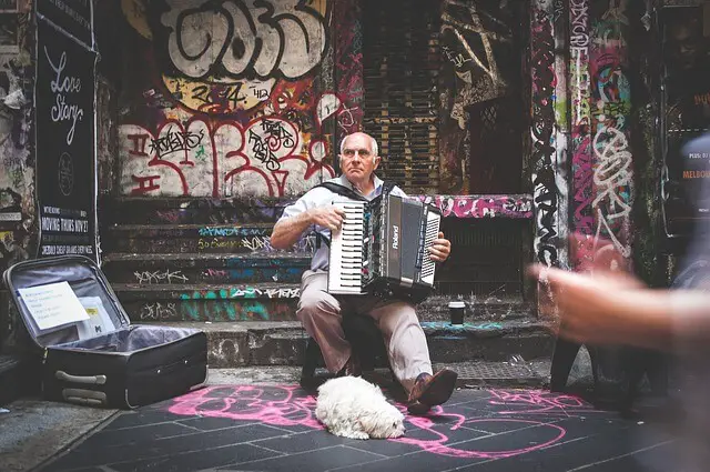 street music with dog