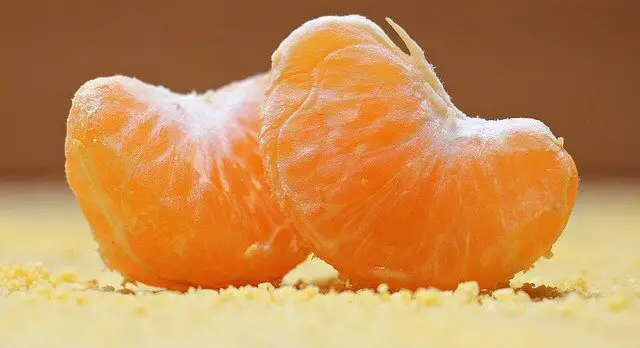 tangerine zoomed
