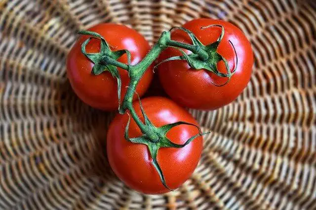 tomato in basket