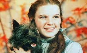 toto i judy garland