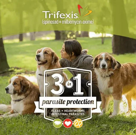 trifexis banner
