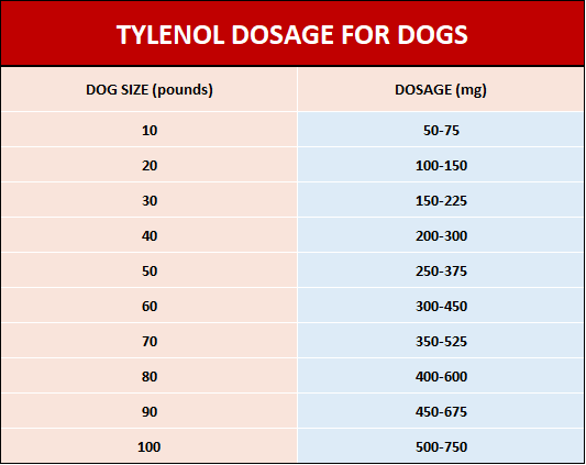 How much Tylenol can I give my dog?