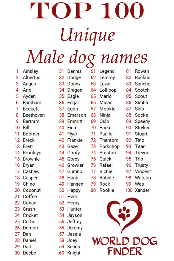 unique dog names male