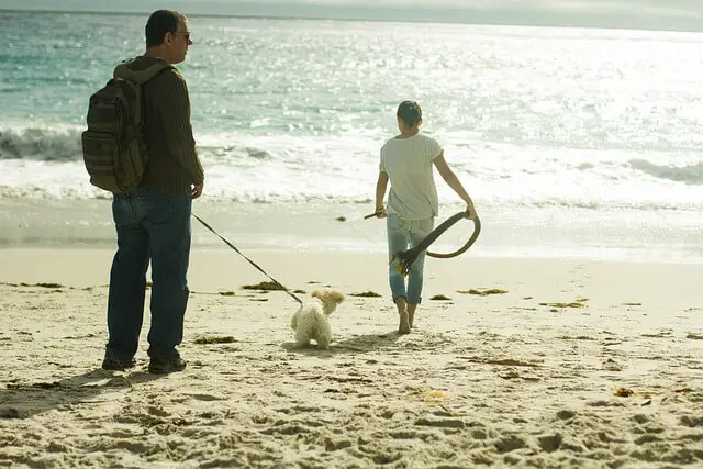 walking a puppy on beach