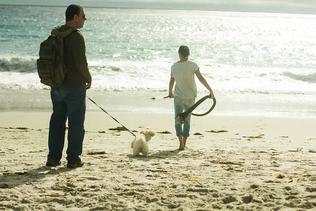 štene na plaži