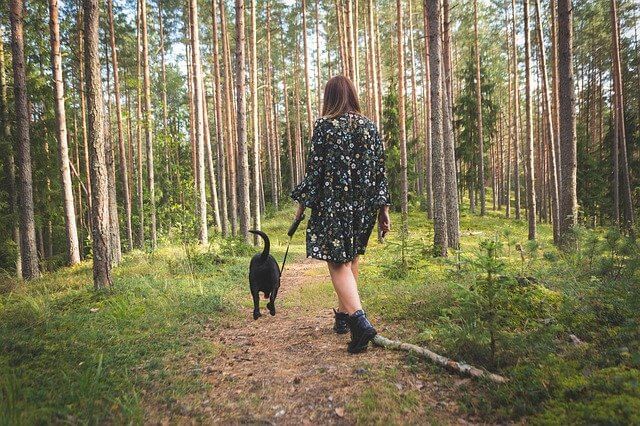 walking dog in woods