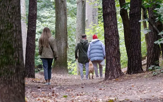 walking-the-dog in nature