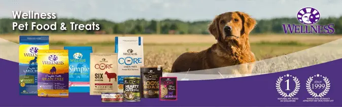 Wellness Dog Food