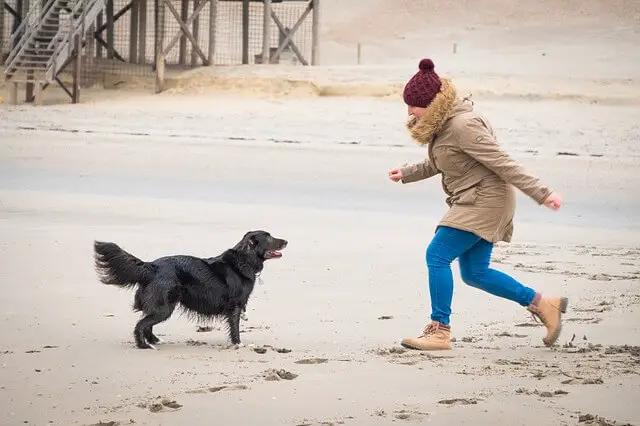 woman playing with a dog on beach