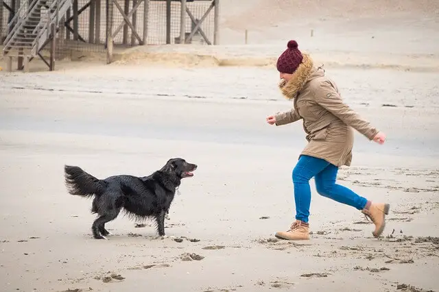 žena se igra sa psom na plaži