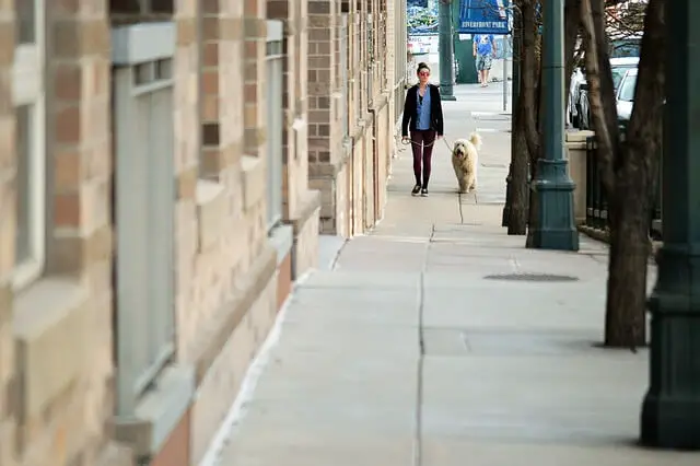 woman walking a dog