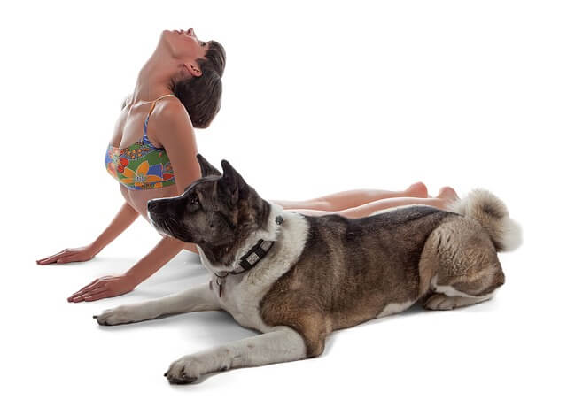 yoga with dog