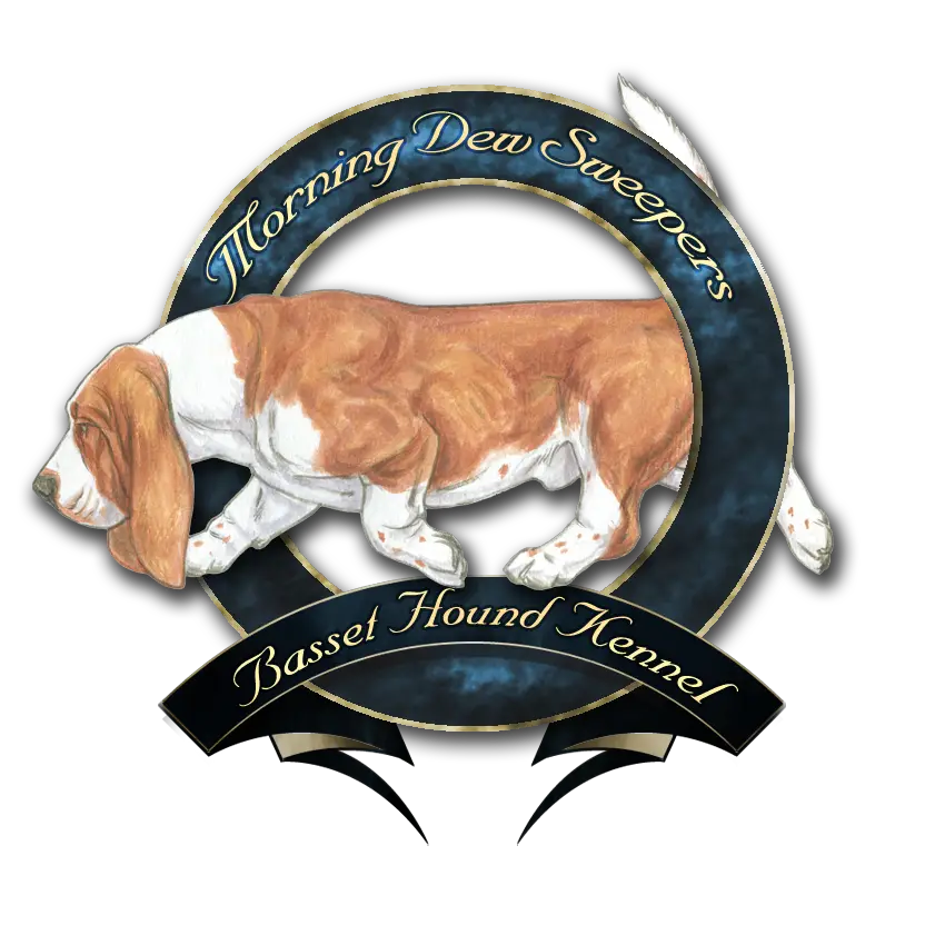 Morning Dew Sweepers Dog breeder