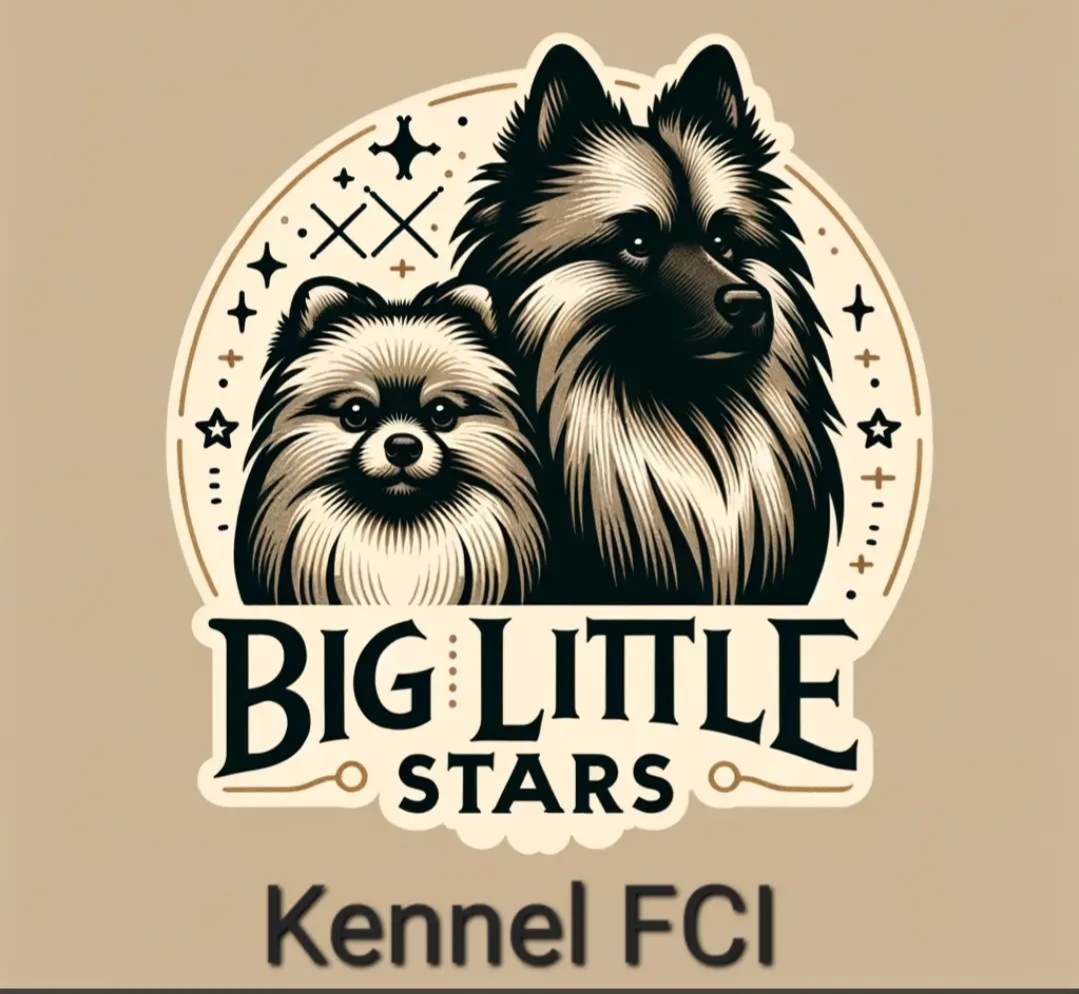 Big Little Stars Dog breeder