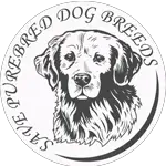 World Dog Finder - Welcome To The Dog's World